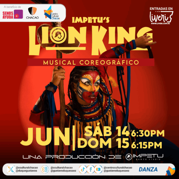 LION KING EXPERIENCE